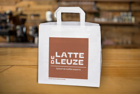  Sacs papier kraft avec anses plates | Paysdesenveloppes.be