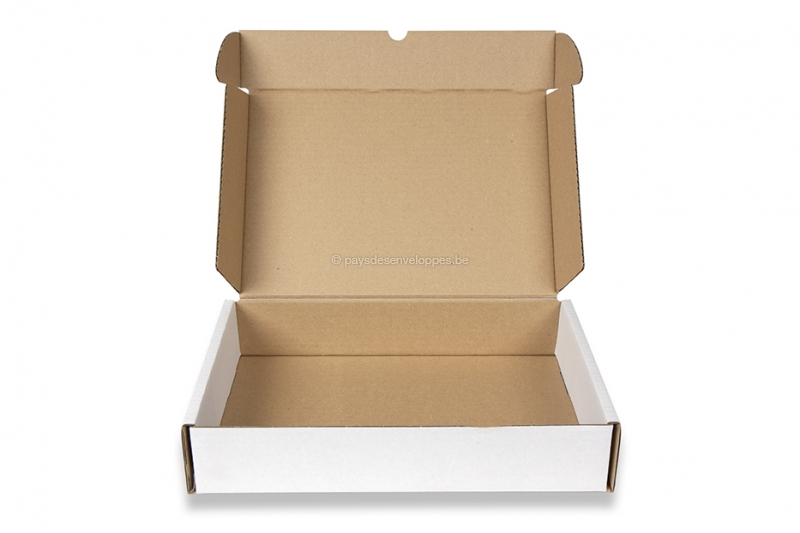 Boîte carton avec fermeture renforcée intérieur blanc 250 X 200 x 100