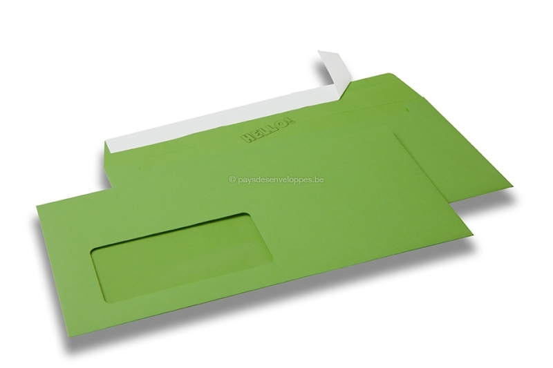 vert menthe avec patte auto-adhésive vert clair 25 Enveloppes 220 x 110 mm 