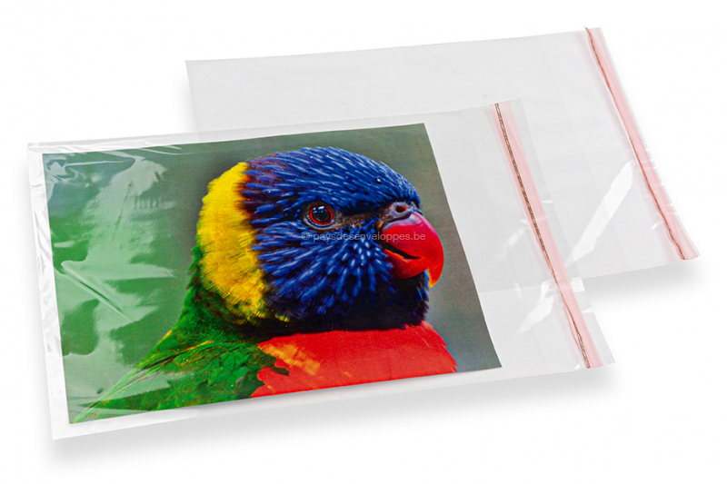 Sachets cellophane transparents